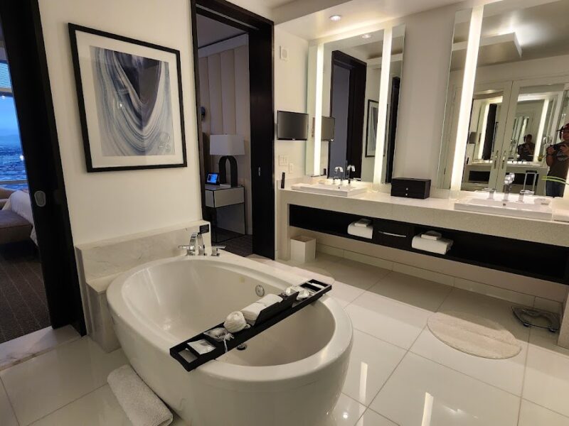 The Aria Sky Suite