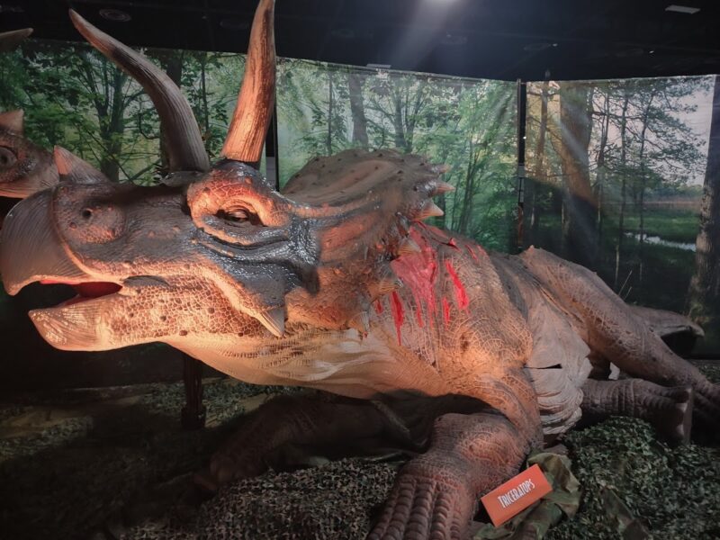 The Prime F. Osborn III Convention Center