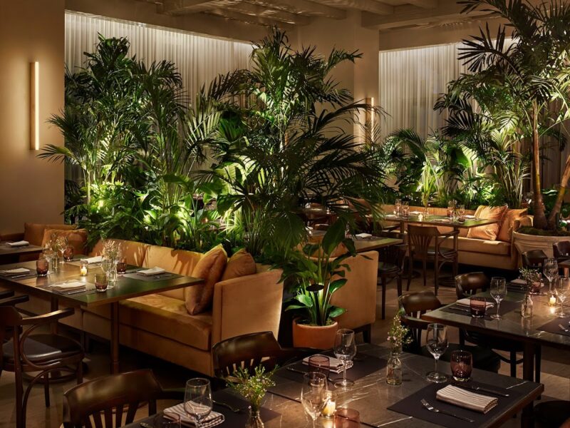 The Terrace at 200