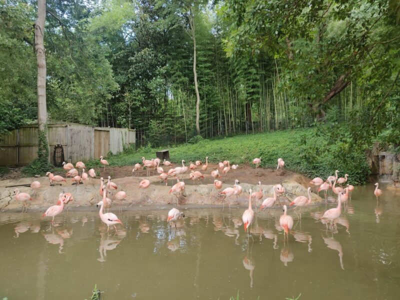 The Pavilion at Grant Park