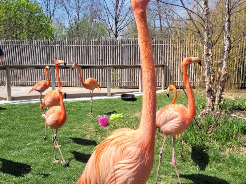 The Indianapolis Zoo