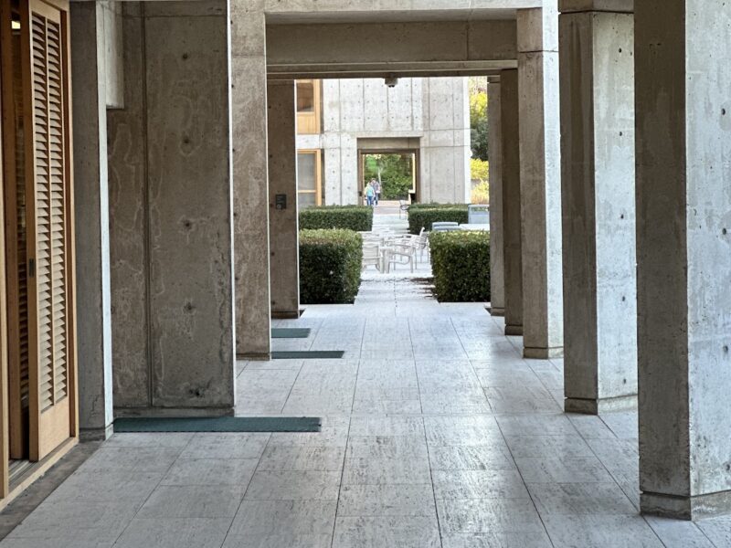The Salk Institute