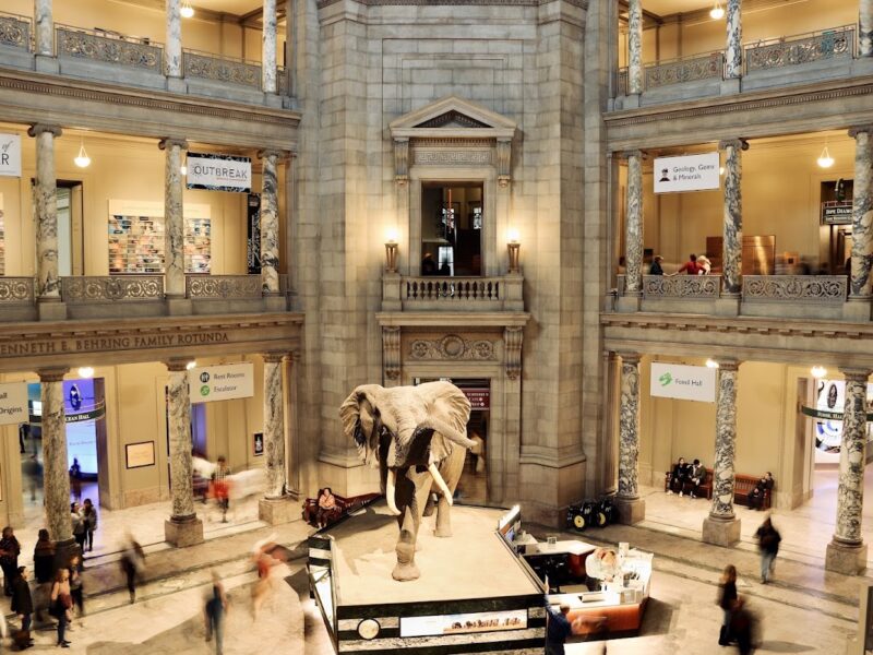 The Smithsonian National Museum of Natural History