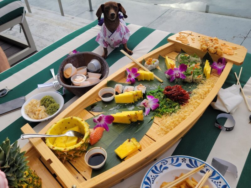 The Miami Beach Club