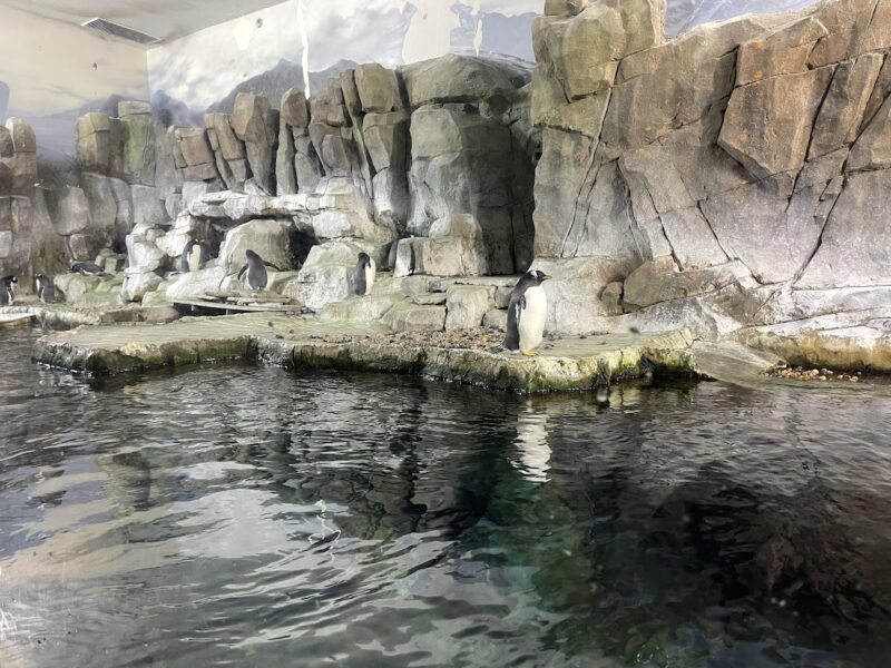 The Loveland Living Planet Aquarium