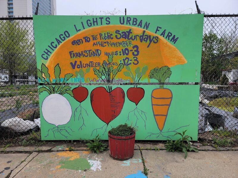 The Chicago Urban Garden