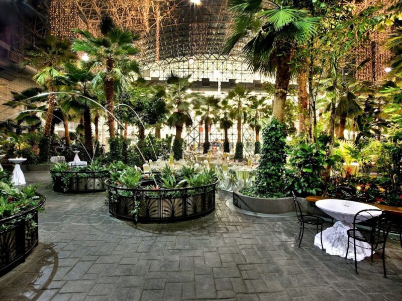 The Crystal Gardens