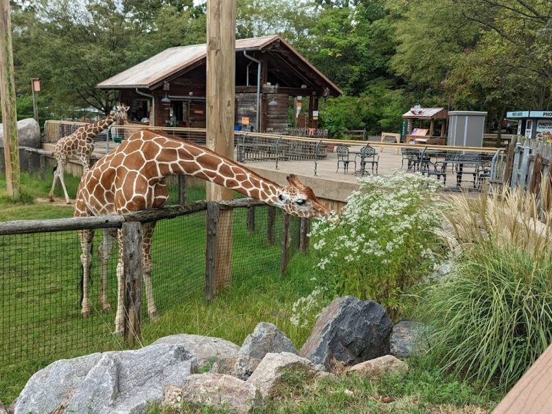 The Maryland Zoo in Baltimore