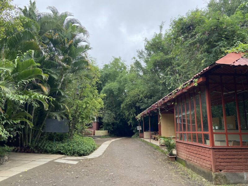 The Hidden Oasis