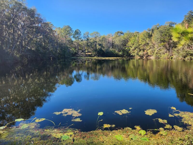 The Garden at the Jacksonville Landing