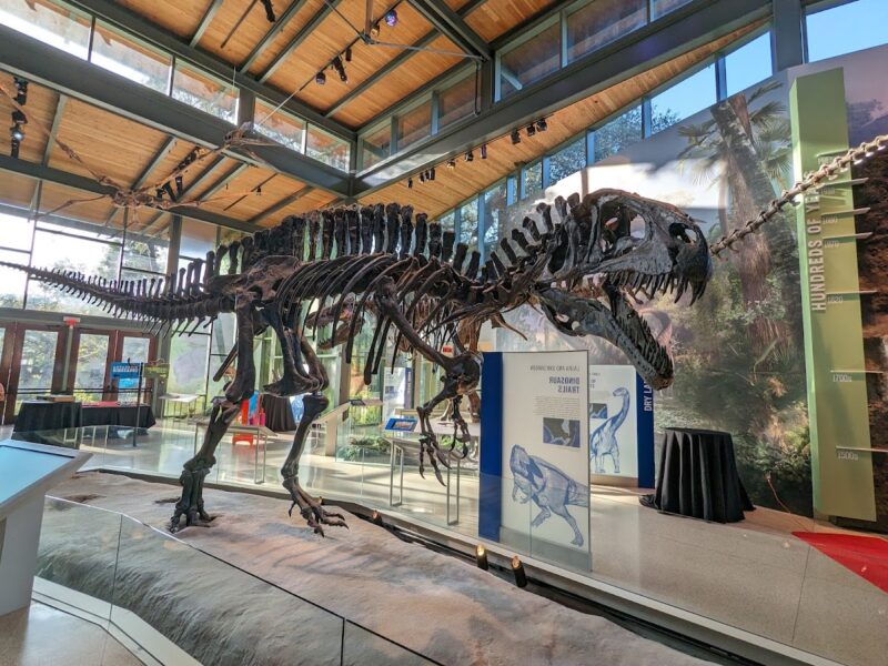 The Witte Museum