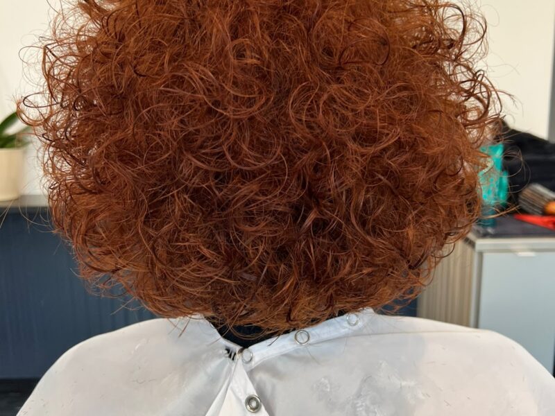 The Collective Seattle