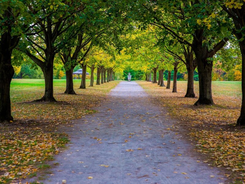 The Toledo Botanical Garden