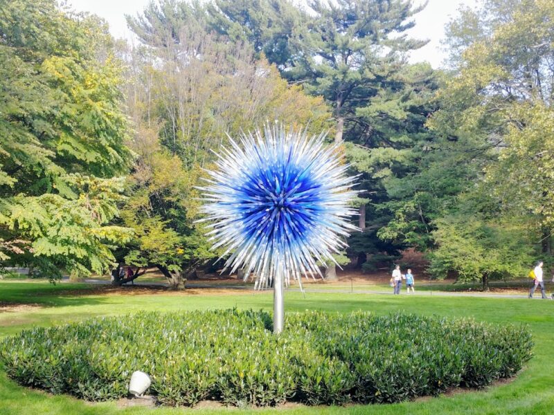 The New York Botanical Garden