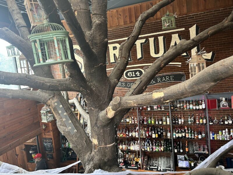 The Raleigh Beer Garden