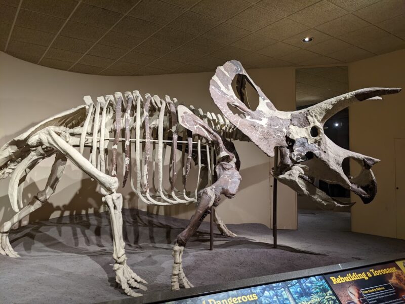 The Milwaukee Public Museum