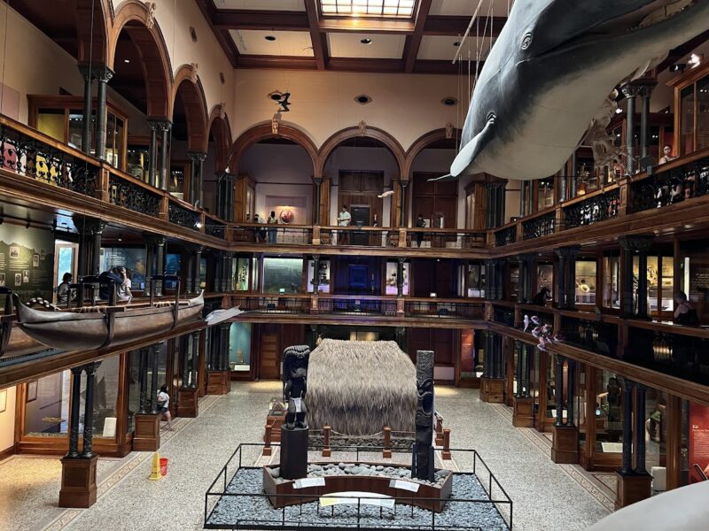 Bishop Museum
