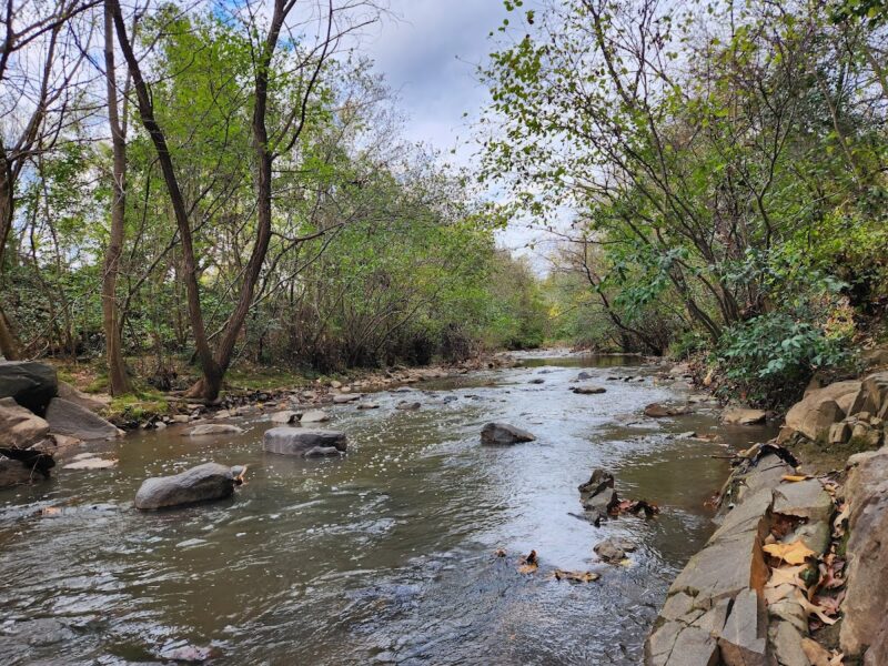 The Atrium at Freedom Park