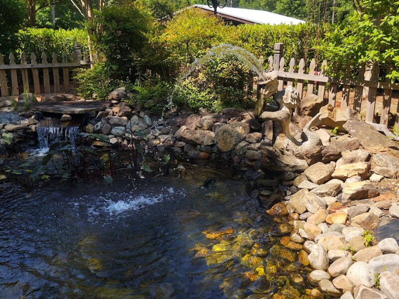 The Whimsical Garden