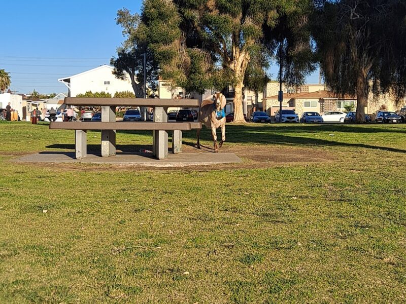 The North Park Event Space