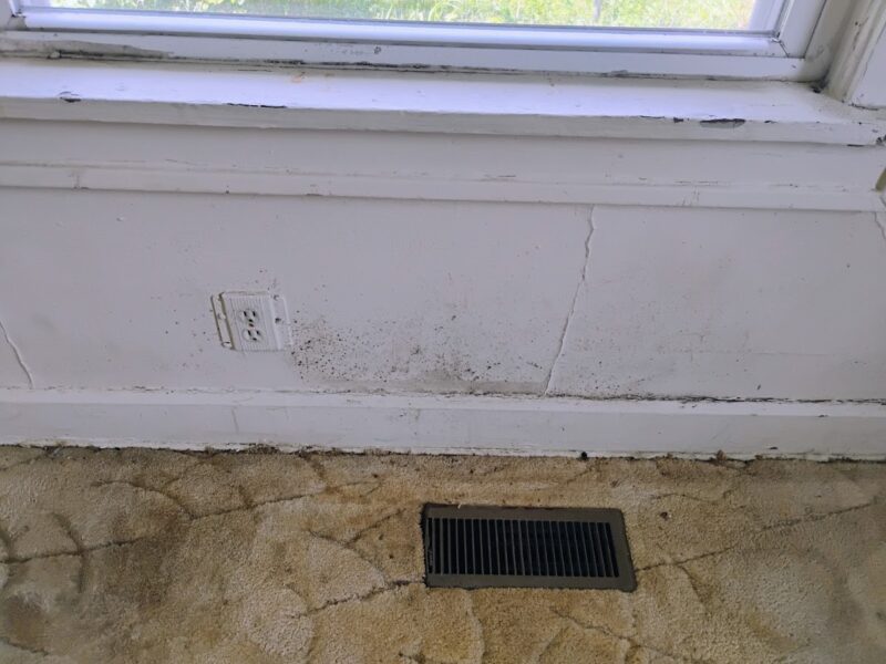 The Halls of Justice