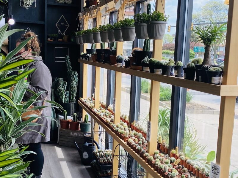 The Rust Belt Market