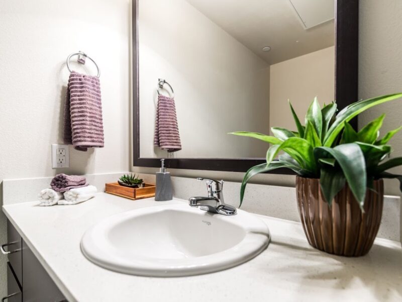 The Vista at Desert Ridge