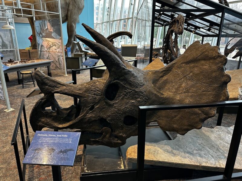 The Maryland Science Center