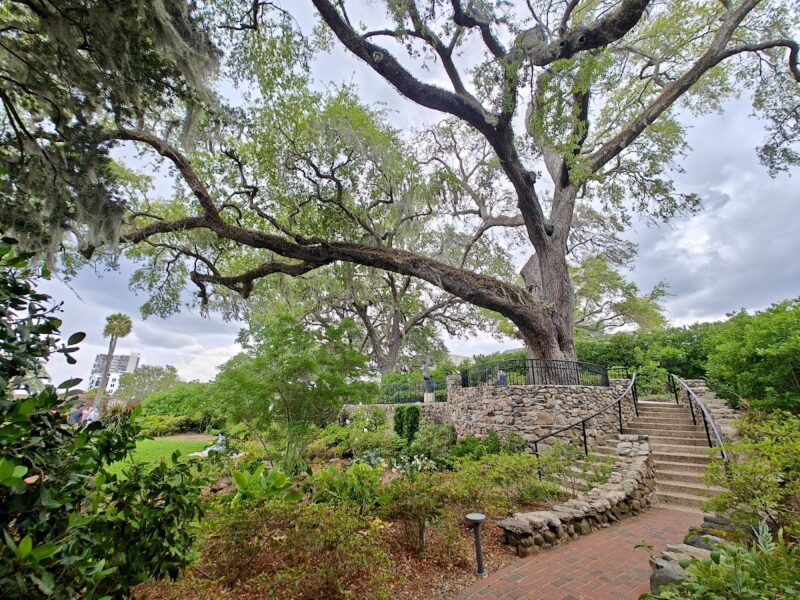 The Jacksonville Museum