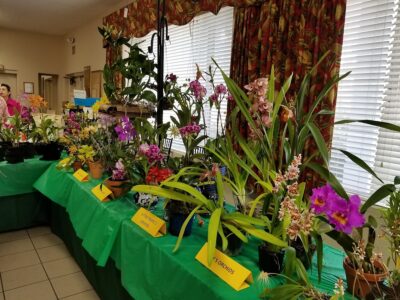 The Orlando Garden Pavilion