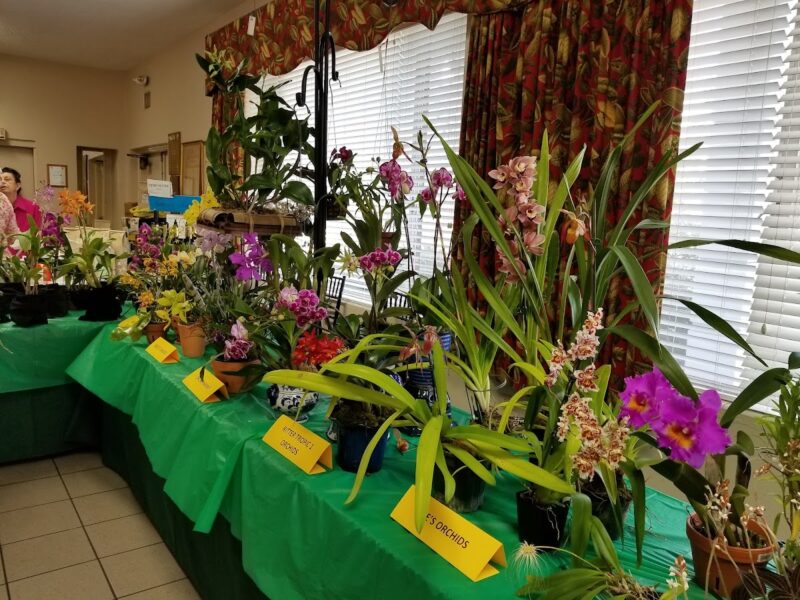 The Orlando Garden Pavilion