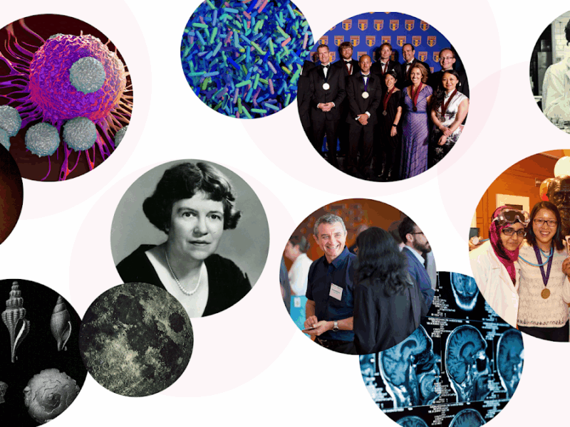 The New York Academy of Sciences