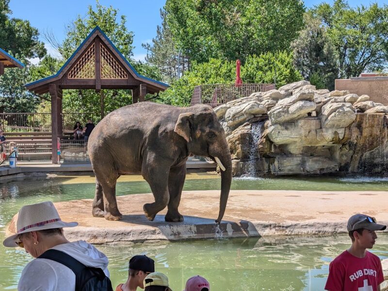 The Denver Zoo