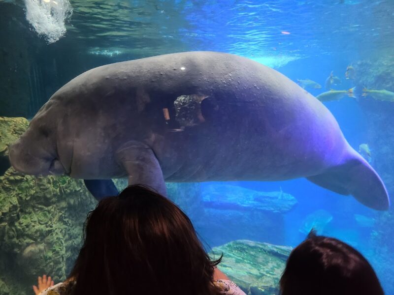 The Dallas World Aquarium