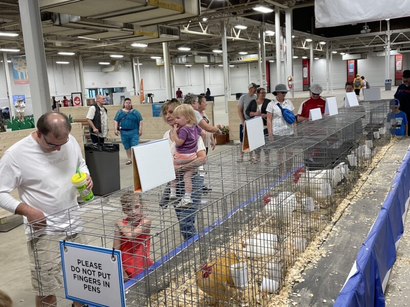 The Indiana State Fairgrounds
