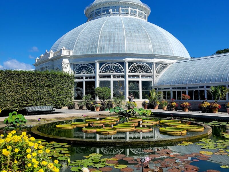 The New York Botanical Garden