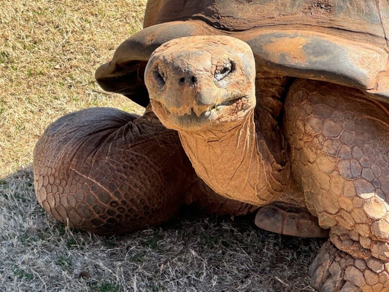 The Oklahoma City Zoo