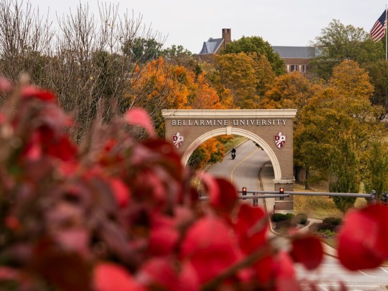 The Bellarmine University