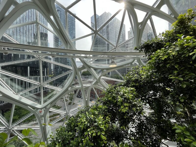 The Spheres at Amazon