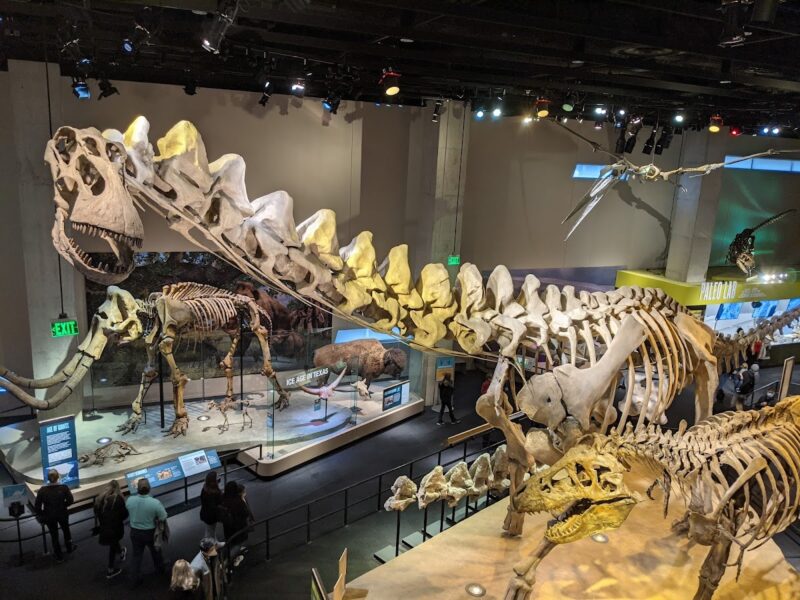 The Perot Museum of Nature and Science