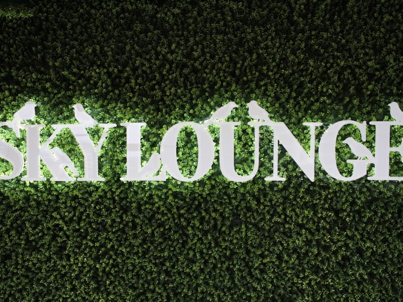 The Skyline Lounge