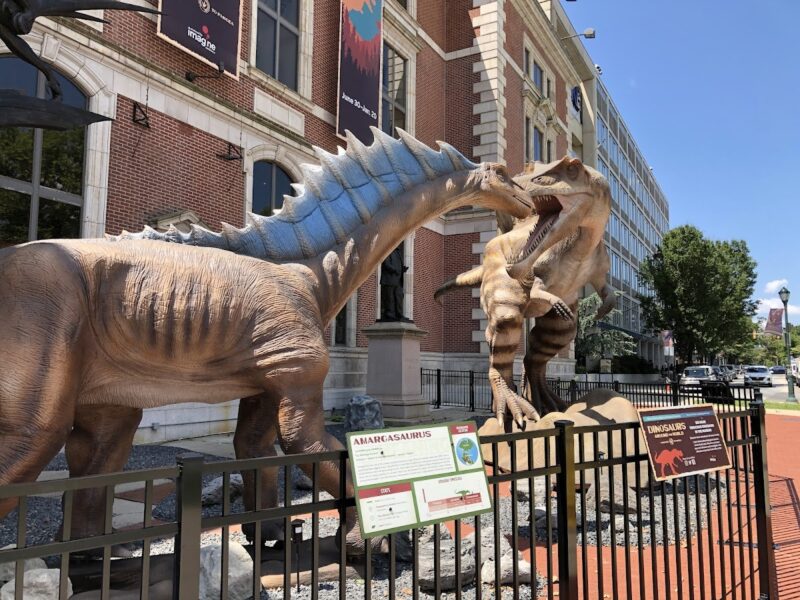 The Academy of Natural Sciences