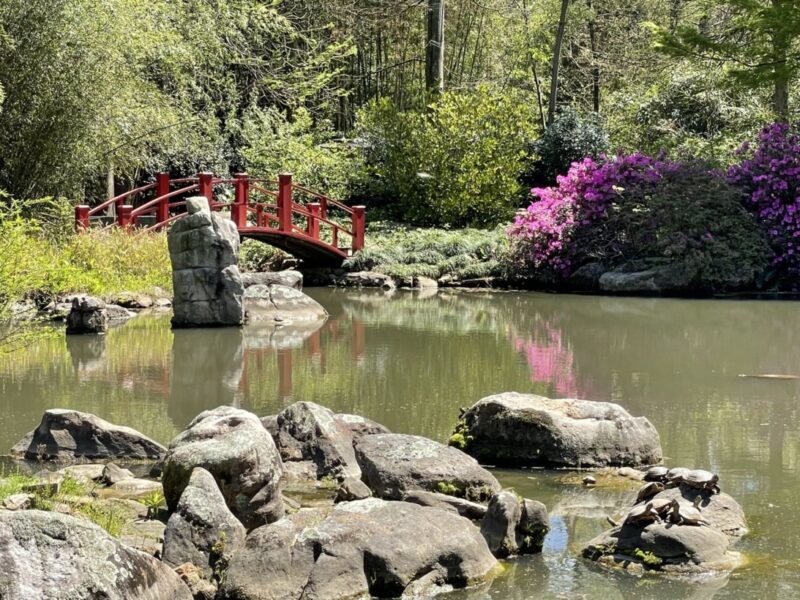 Birmingham Botanical Gardens