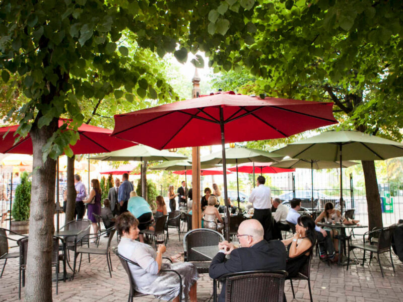 The Aster Cafe