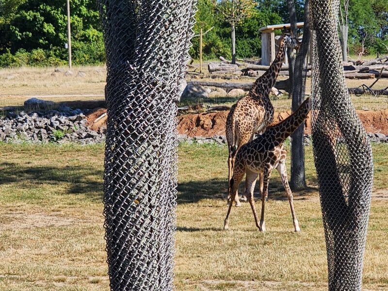 The Columbus Zoo and Aquarium