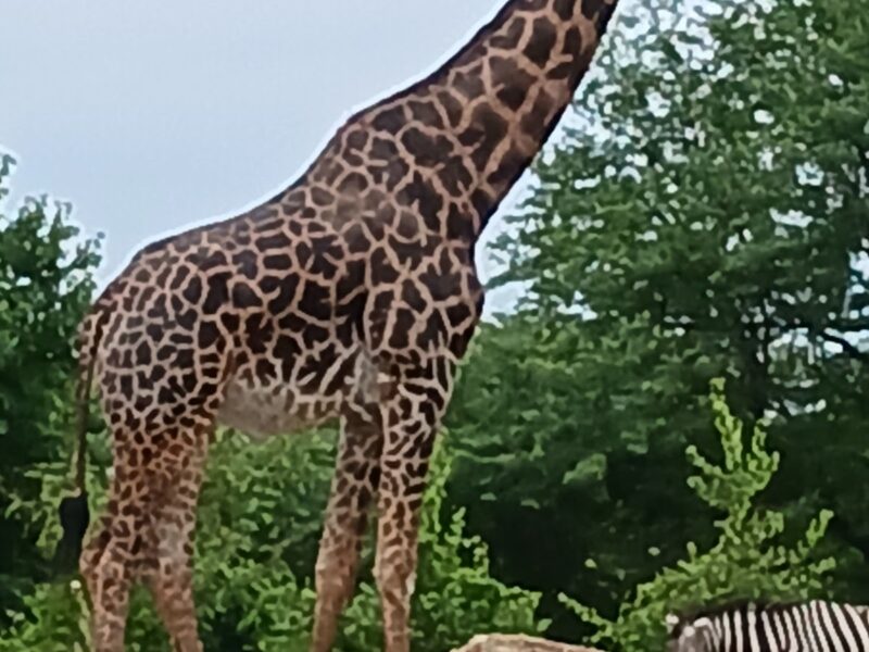 The Pittsburgh Zoo & PPG Aquarium
