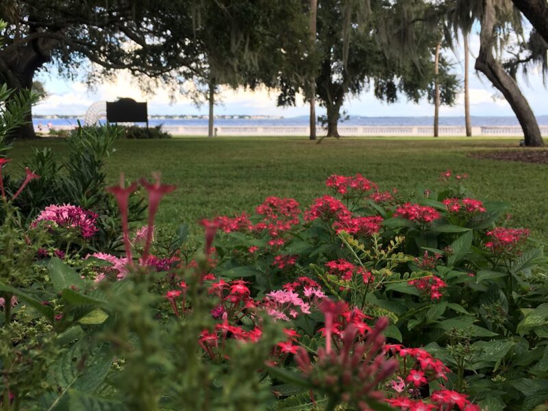 The Tampa Garden Club