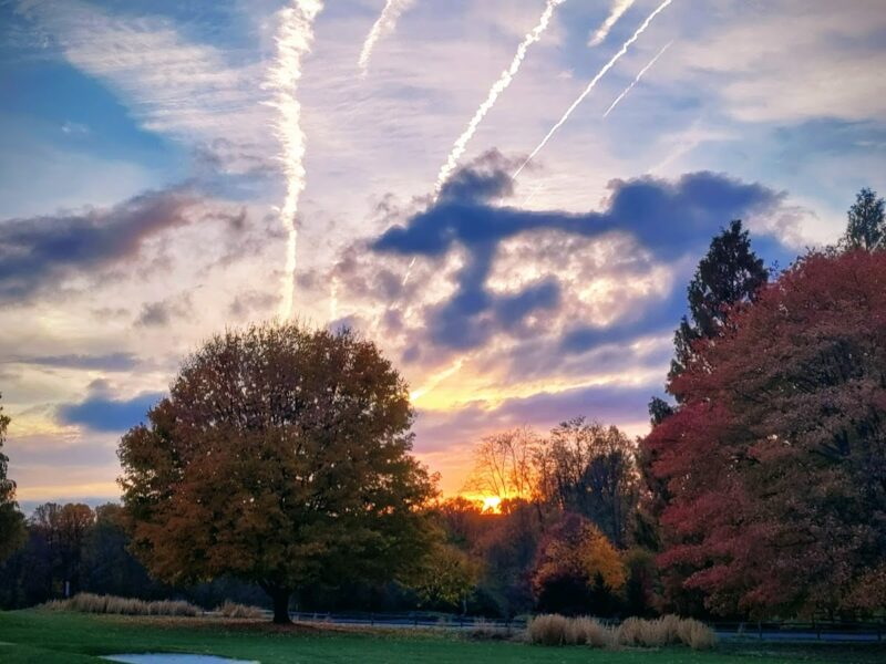 The Philadelphia Cricket Club