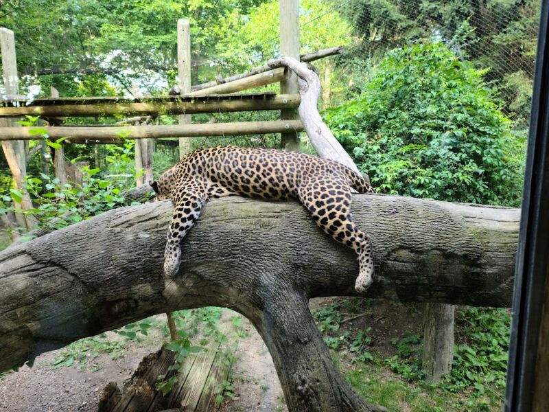 The Columbus Zoo and Aquarium