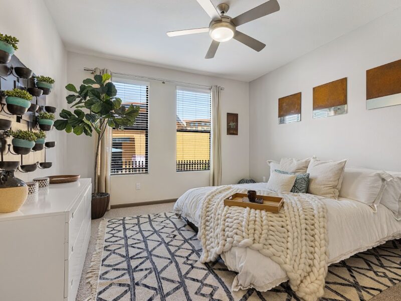 The Vista at Desert Ridge